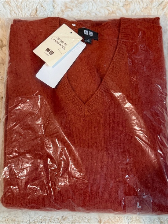 Uniqlo Other - NWT - Uniqlo Men V-Neck Lambswool Sweater - Brick OrangeRed